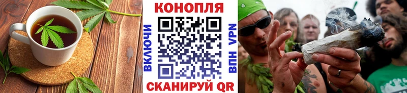 Canna-Cookies конопля  Луга 