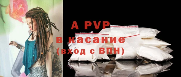 стаф Новокубанск