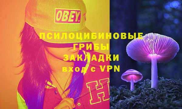MDMA Premium VHQ Новозыбков