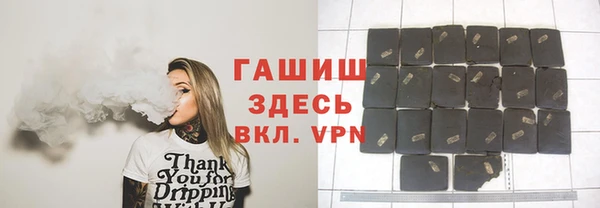 стаф Новокубанск