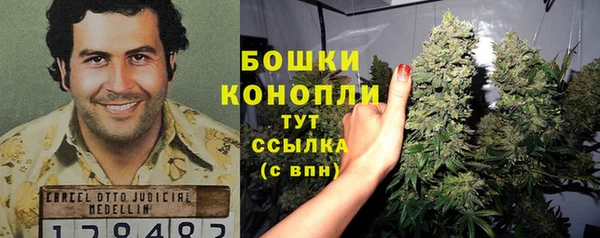 стаф Новокубанск