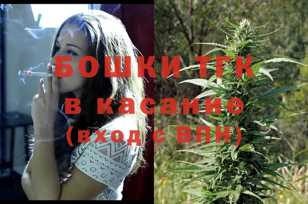 стаф Новокубанск