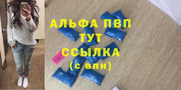 стаф Новокубанск