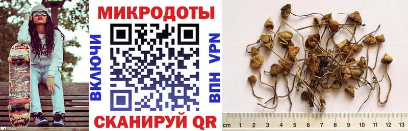 blacksprut ONION  Луга  Галлюциногенные грибы Cubensis 
