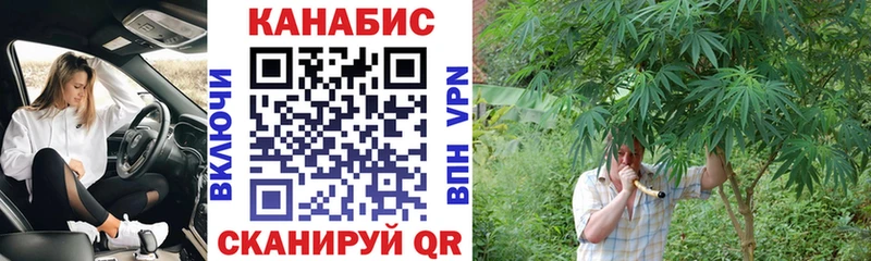 МАРИХУАНА White Widow  где найти   Луга 
